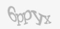Қорғаныс коды